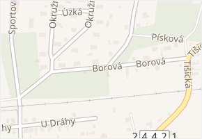Borová v obci Neratovice - mapa ulice