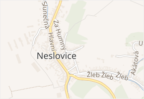 Hlinky v obci Neslovice - mapa ulice