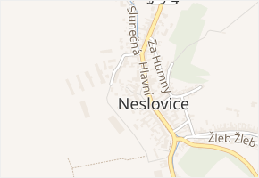 Kout v obci Neslovice - mapa ulice