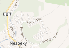 Pod Lesem v obci Nespeky - mapa ulice