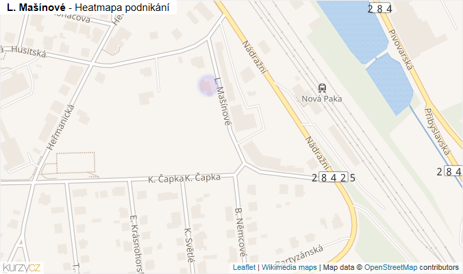 Mapa L. Mašínové - Firmy v ulici.