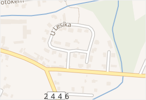 U Lesíka v obci Nová Ves - mapa ulice