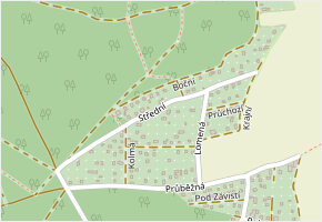Střední v obci Nová Ves pod Pleší - mapa ulice