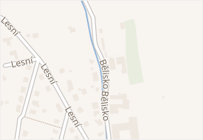 Bělisko v obci Nové Město na Moravě - mapa ulice