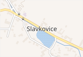 Slavkovice v obci Nové Město na Moravě - mapa části obce