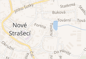 Fortna v obci Nové Strašecí - mapa ulice