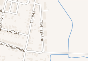 Třebízského v obci Nový Bydžov - mapa ulice