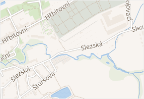 Slezská v obci Nový Jičín - mapa ulice