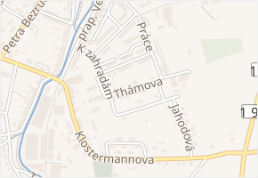Thámova v obci Nýrsko - mapa ulice