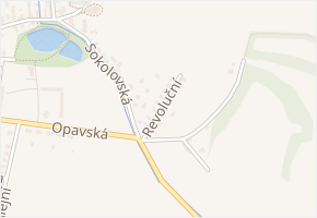 Revoluční v obci Oldřišov - mapa ulice