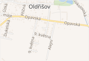 Za Lihovarem v obci Oldřišov - mapa ulice