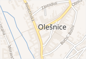 Olešnice v obci Olešnice - mapa části obce