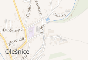 Tržní v obci Olešnice - mapa ulice