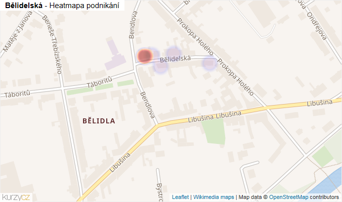 Mapa Bělidelská - Firmy v ulici.