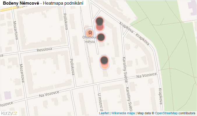 Mapa Boženy Němcové - Firmy v ulici.