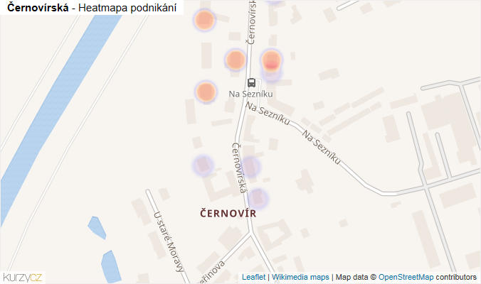 Mapa Černovírská - Firmy v ulici.