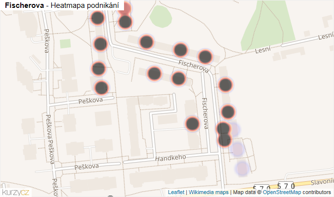 Mapa Fischerova - Firmy v ulici.