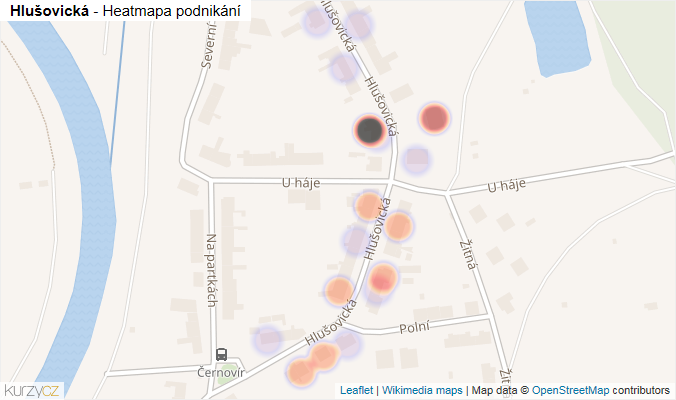 Mapa Hlušovická - Firmy v ulici.