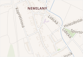 Raisova v obci Olomouc - mapa ulice