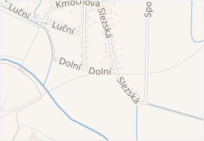 Dolní v obci Opava - mapa ulice