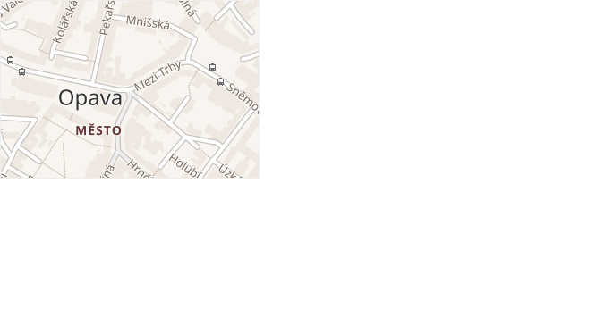 náměstí Svaté Hedviky v obci Opava - mapa ulice