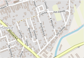 Procházkova v obci Opava - mapa ulice