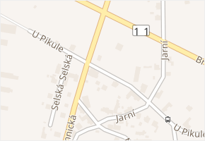 U Pikule v obci Opava - mapa ulice