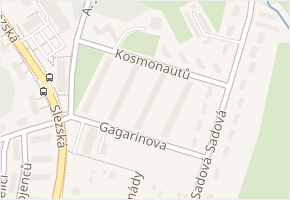 Gagarinova v obci Orlová - mapa ulice