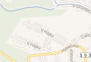 V Hájku v obci Oslavany - mapa ulice