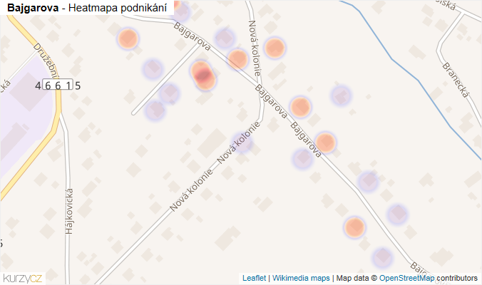 Mapa Bajgarova - Firmy v ulici.
