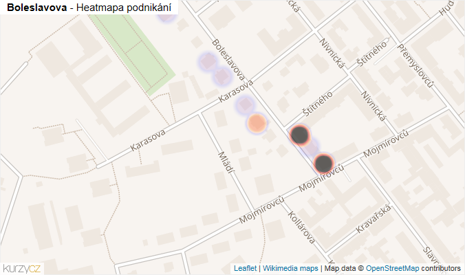 Mapa Boleslavova - Firmy v ulici.