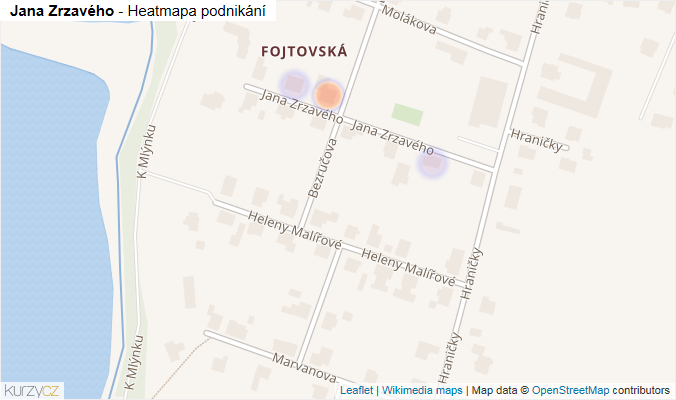 Mapa Jana Zrzavého - Firmy v ulici.