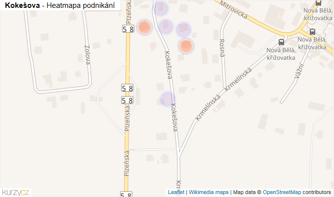 Mapa Kokešova - Firmy v ulici.