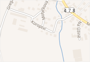 Koroptví v obci Ostrava - mapa ulice