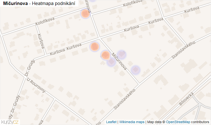 Mapa Mičurinova - Firmy v ulici.