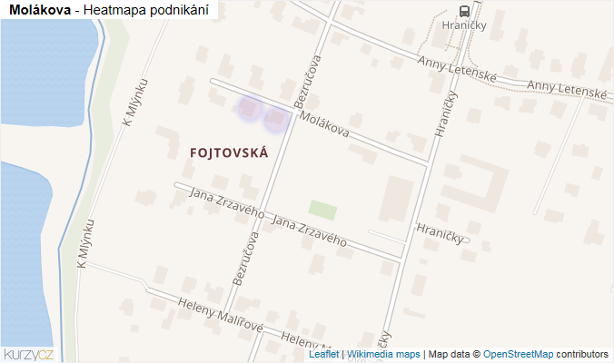 Mapa Molákova - Firmy v ulici.