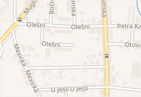 Olešní v obci Ostrava - mapa ulice