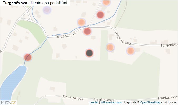 Mapa Turgeněvova - Firmy v ulici.