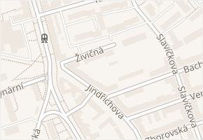 Živičná v obci Ostrava - mapa ulice