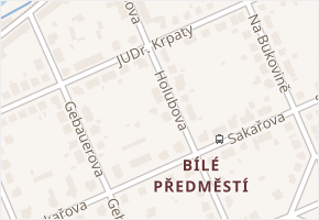 Holubova v obci Pardubice - mapa ulice