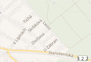 Lesní v obci Pardubice - mapa ulice