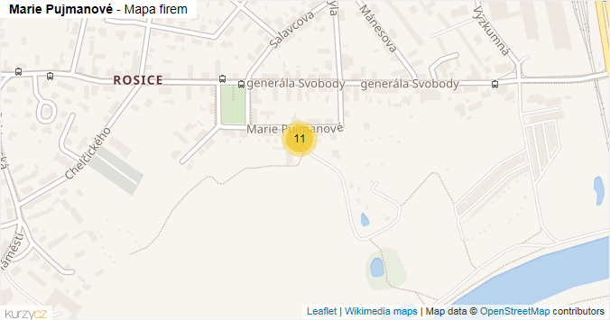Mapa Marie Pujmanové - Firmy v ulici.