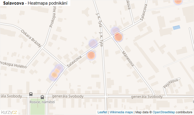Mapa Salavcova - Firmy v ulici.