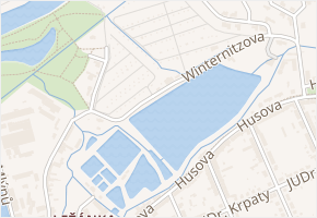 Winternitzova v obci Pardubice - mapa ulice