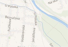 Janáčkova v obci Paskov - mapa ulice