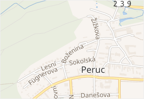 Boženina v obci Peruc - mapa ulice
