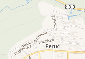 Křesinova v obci Peruc - mapa ulice