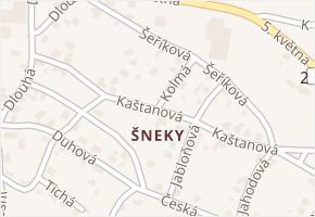 Kaštanová v obci Plesná - mapa ulice