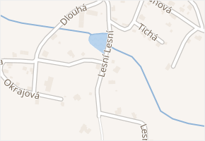 Lesní v obci Plesná - mapa ulice