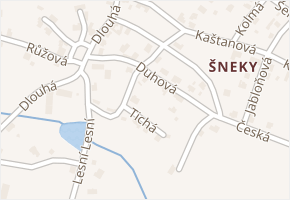Šneky v obci Plesná - mapa části obce